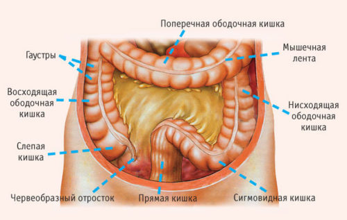 Болезни ЖКТ